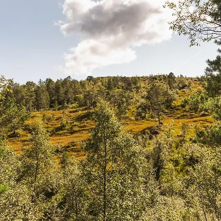 Nyaraló Kvamskogen -lekker Hytte,9 Sengeplasser Og Jacuzzi Kvam