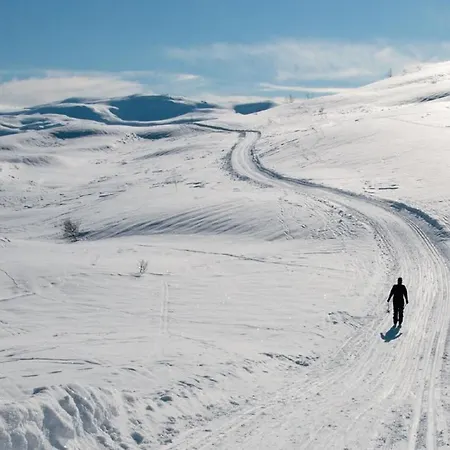 Nyaraló Kvamskogen -lekker Hytte,9 Sengeplasser Og Jacuzzi Kvam